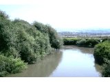 Site of Bethsaida on a tributary into the Sea of Galilee